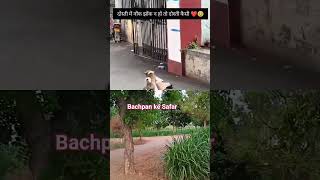 women baby dog baby friend