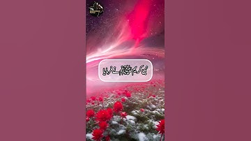 Nikah 👩‍❤️‍👨 Beautiful Status || Muslim Couple WhatsApp Status 😍✨ #shorts #nikah