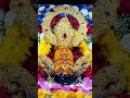 बाबा ऐसी कृपा हो मेरा जीवन सफल हो 🙏💖💫🌺🚩#like #comment #share #trendingreels #subscribe #viralvideo