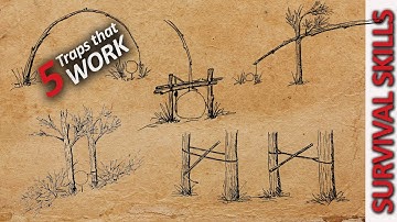 5 Survival Traps and Snares that WORK! - Primitive Traps