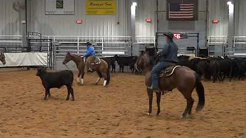 Dual Smart Zahir owned & ridden by Susan Hanselman