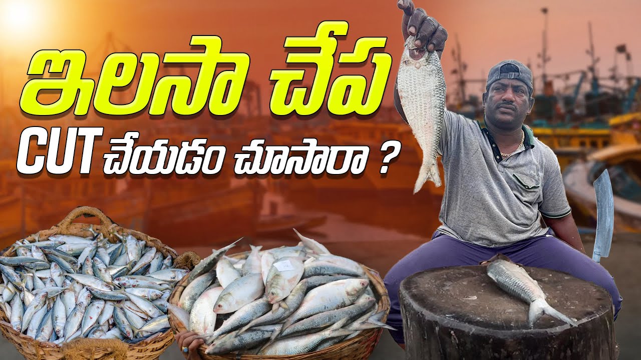 fishing-fish-fishingequipment-youtube