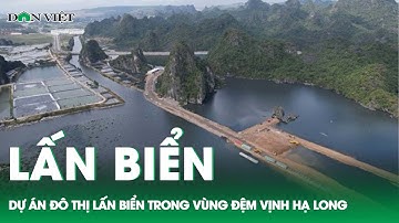 Dự án đô thị lấn biển ở vịnh Hạ Long: "Việc lớn như thế mà lãnh đạo địa phương không biết...?"