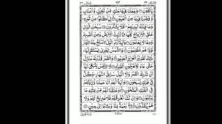 Surah yasin( HD) SAAD AL GHAMDI( سورة ياسين سعد الغامدي)