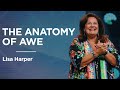 The Anatomy of Awe | Lisa Harper