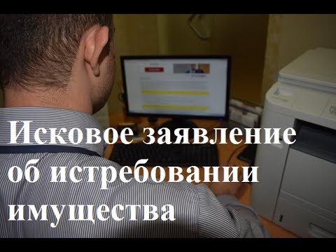 Исковое заявление об истребовании имущества: советы юриста