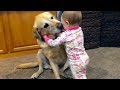 Bébés mignons jouant avec des chiens et des chats