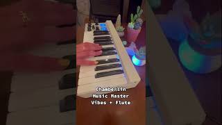 Whats Your Favorite Mellotron Sound Combo mellotronmicro keyboards synths homestudio