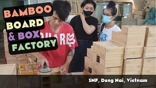 See Inside a Bamboo Board and Box Factory