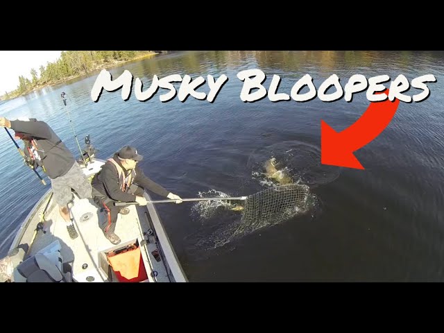 It's MUSKY FISHING, what could possibly GO WRONG? BLOOPER REEL 