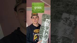 Building a secret room for my cats was so fun 🤩#pov #cats #secretroom #shorts