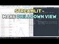 Streamlit Ag-Grid Tutorial | Select Rows, Drilldown & Plotly Charts