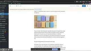 Gutenberg vs. Classic editor in Word Press