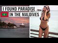 PARADISE in Baros Maldives | 1 week in Baros Resort | 4K Travel Vlog