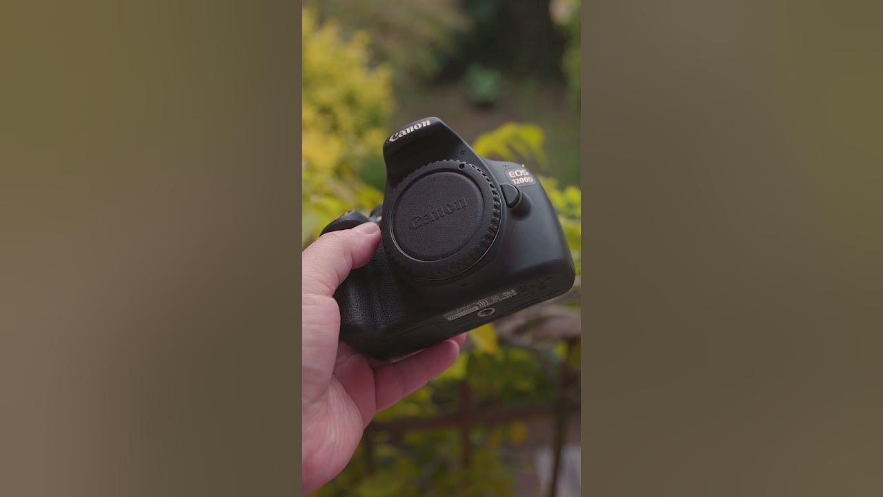 Can They Autofocus In Low Light? Canon Rebel T5 (1200D) vs Rebel T7