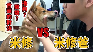 柴犬的撸狗日常演變成舌頭的對決【米修與歐歐】 by 米修與歐歐 1,412 views 4 years ago 7 minutes