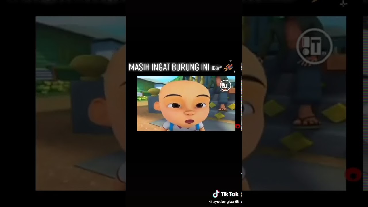 Burung puyuh 