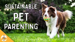 Eco-friendly pet care strategies (for a happy pet and A healthy planet)