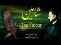 Balejibril 176  the falcon  shaheen  allama iqbal  iqbaliyat  mukammalbaat