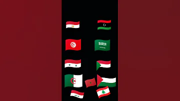 هنا مصر ام الدنيا وليبيا تعشقها في تانيه اغنية 