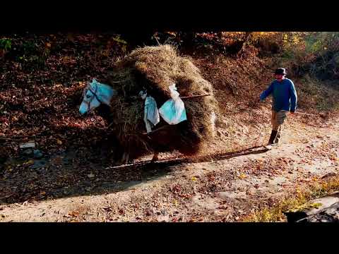 ველო-ტური --- ქუთაისი-ხანი [2018]