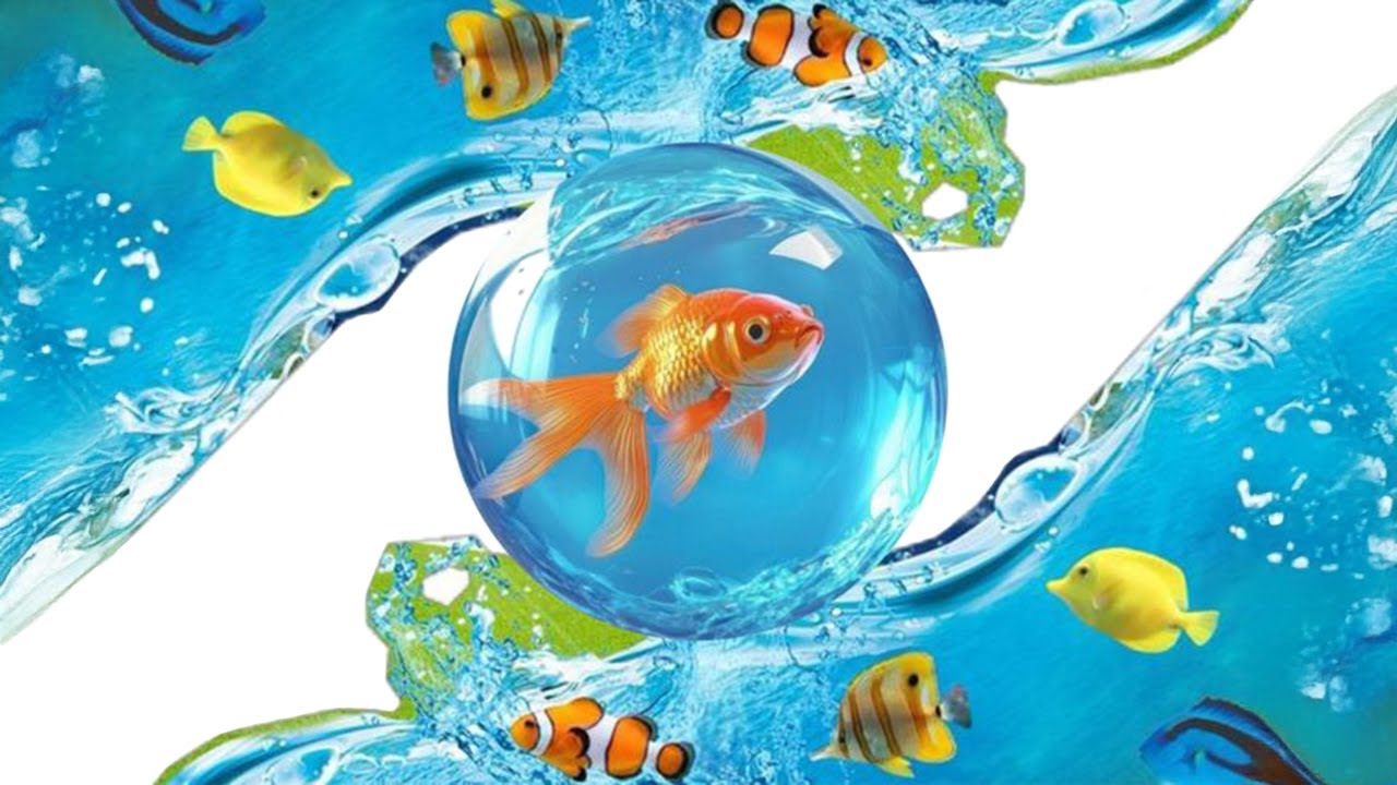 [Playlist] 프루티거 에어로 🐠🍏💻 | Frutiger Aero · Y2K Aesthetic · Internet Nostalgia