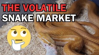The MARKET for SNAKES is always CHANGING! Whats next?