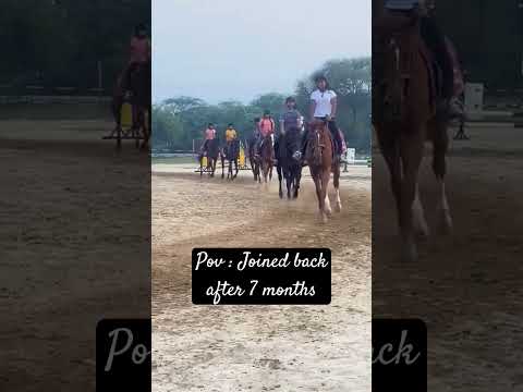 Horse riding trot