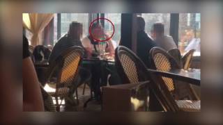 Cum Sfidează Baruruile Craiovene Legea Antifumat Cum Sfidează Baruruile Craiovene Legea Antifumat