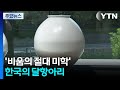 '비움의 절대 미학' 한국의 달 항아리 / YTN