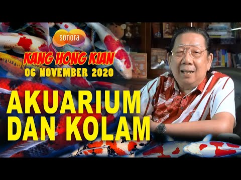 Video: Di Mana Meletakkan Akuarium Feng Shui