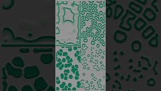 Reaction Diffusion Simulation - Turing Patterns