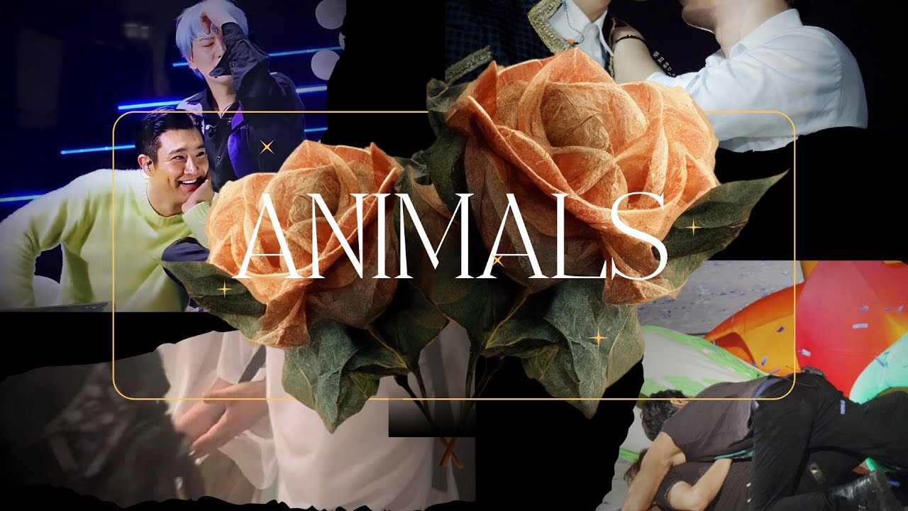 【圓規/源圭/Wonkyu】Animals