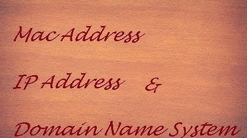 Mac & IP Address & Domain name System|Computer Network | Class12 | Computer Science with Python