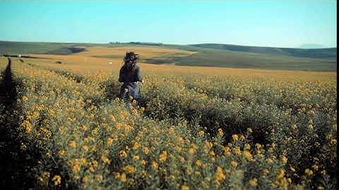 TRANSITION TEST: Speed Ramp Transition on Shotcut