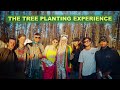 The tree planting experience