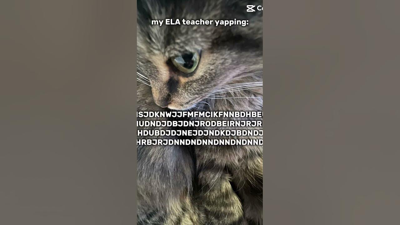 Bro Is A Yappatron Bro Does Not Know What Being Quiet Mean school ela bro-is-a-yappatron-bro-does-not-know-what-being-quiet-mean-school-ela