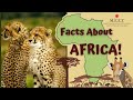 Facts about africa for kids educationals for kids