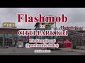 Flashmob im cittipark kiel  ein kompliment sportfreunde stiller