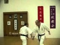 Kotekitae  hanshi oscar higa