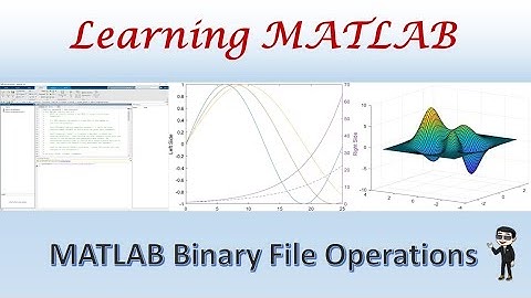 MATLAB Binary File Read Write