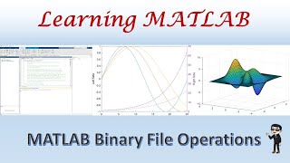 MATLAB Binary File Read Write