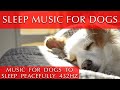 Music to Make My Dog Sleep Peacefully [432 Hz - 11 Hours]