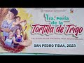 Video de San Pedro Tidaá