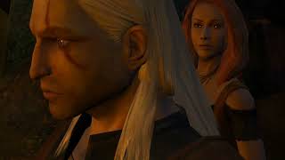 The Witcher hellhound the beast full bossfight all attacks shown