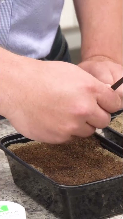 PLANTING POTATOES IN DIY JUTE BAGS - Le café de maman