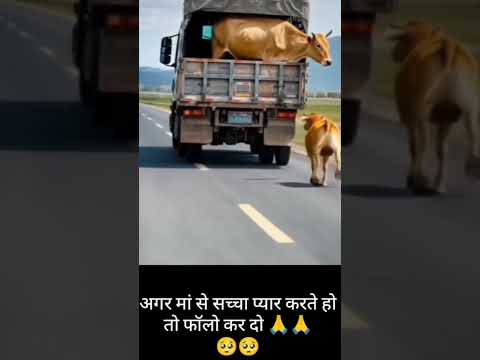#mother #love #maa #beta #nyc #shortvideo #shortsviral