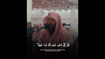 صلاة القيام الليلة التاسعة تلاوة خاشعة من سورة البقرة #الشيخ_وديع_اليمني