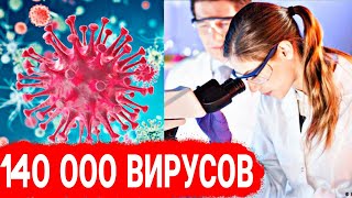 Ученые обнаружили 140 тыс. видов вирусов в кишечнике человека