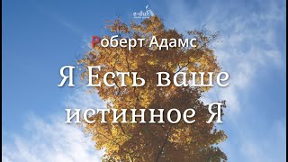 Роберт Адамс - Я Есть ваше истинное Я [Nikosho]